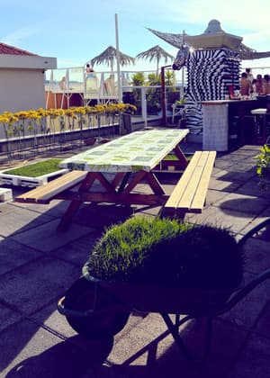 thumbnail: Terrace/patio