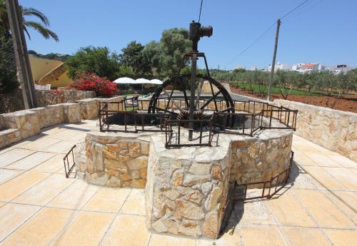 49157570.jpg