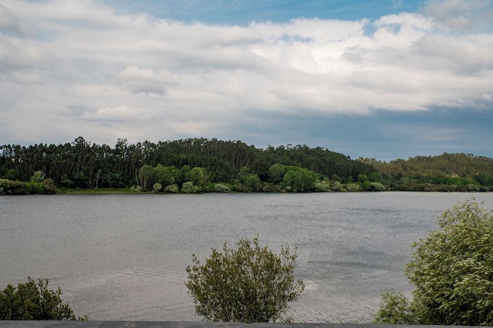 Lake view