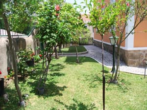 thumbnail: General view