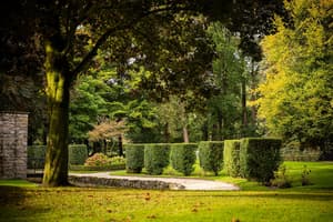 thumbnail: Garden