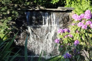 thumbnail: Property grounds