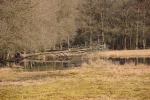 thumbnail: Property grounds