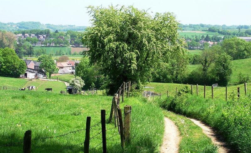 General view
