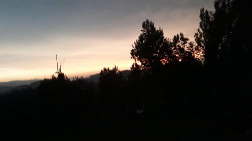 200526283.jpg