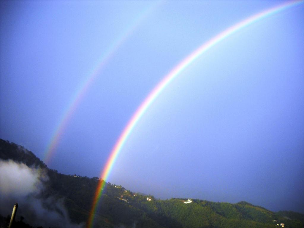 529558_17013100140050667735.jpg