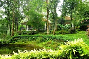 thumbnail: Property grounds