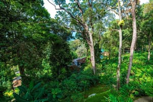 thumbnail: Property grounds