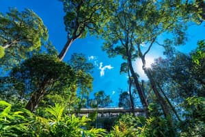thumbnail: Property grounds
