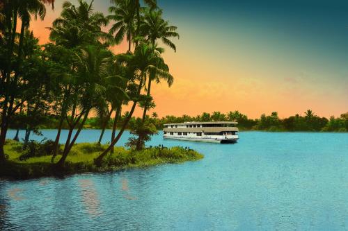 37043072.jpg