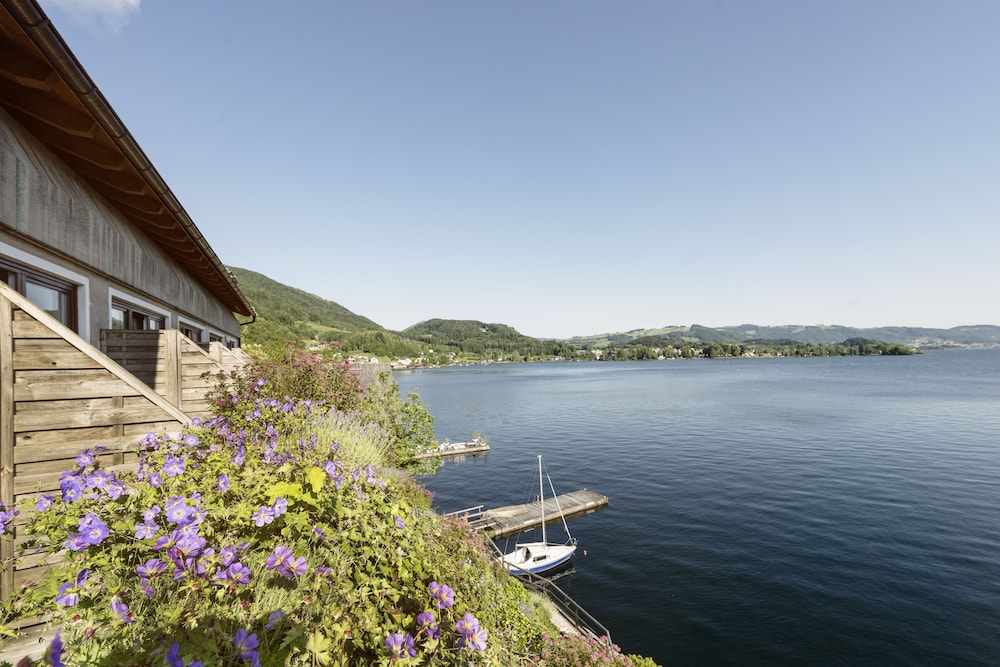 Lake view