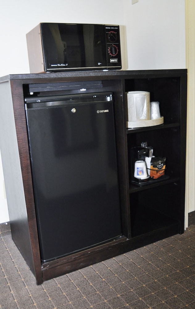 Mini-refrigerator