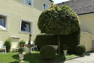 thumbnail: Garden