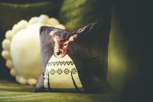 thumbnail: Interior detail