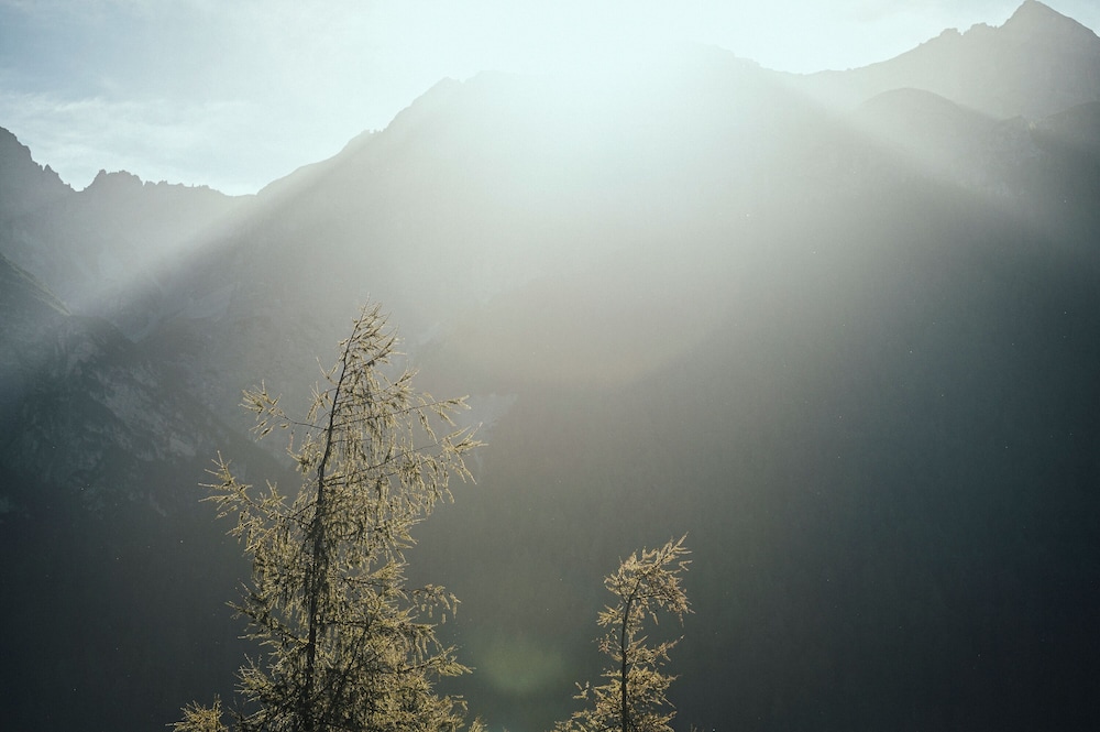 Mountain view