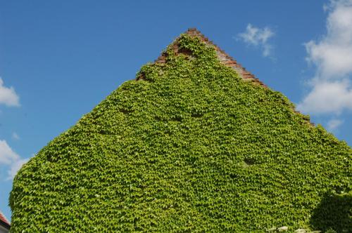 9093738.jpg