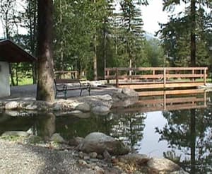 thumbnail: Garden