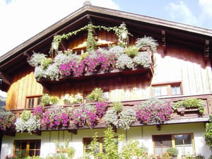 thumbnail: Exterior
