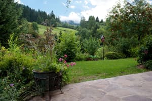 thumbnail: BBQ/picnic area