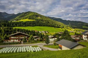 thumbnail: General view