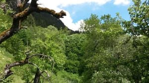 thumbnail: 40807595.jpg