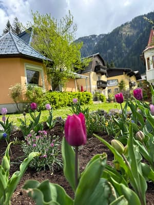 Bad Gastein thumbnail
