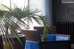 thumbnail: Bar (on property)