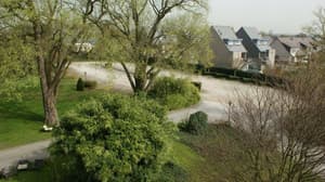 thumbnail: Property grounds