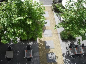 thumbnail: General view