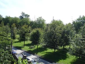 thumbnail: General view