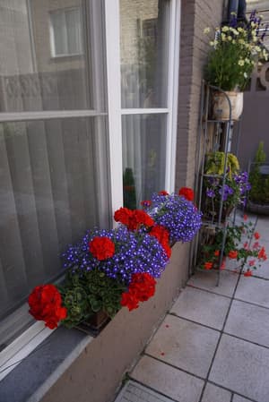 thumbnail: Garden