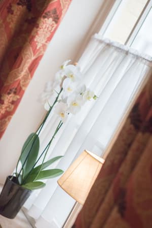 thumbnail: Interior detail