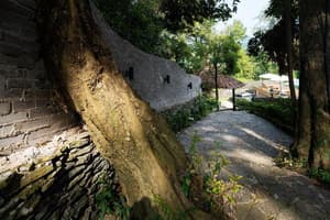 thumbnail: General view