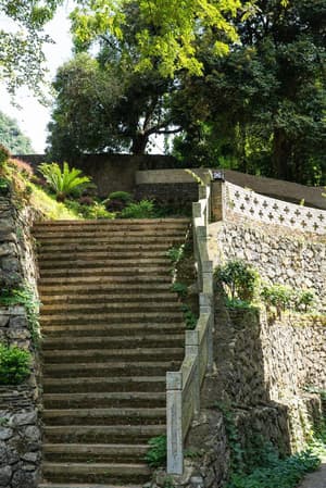 thumbnail: General view