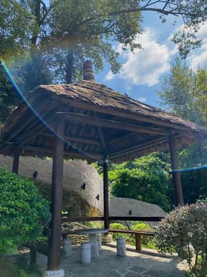 thumbnail: General view