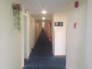 thumbnail: General view