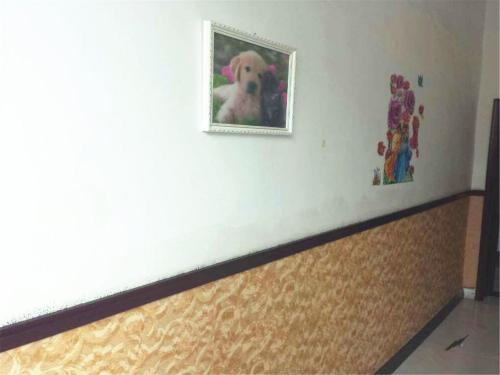 99606573.jpg