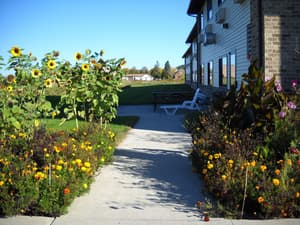 thumbnail: Garden view