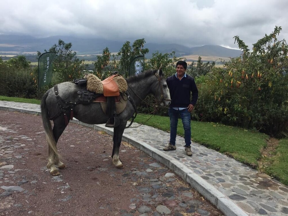Horseback riding