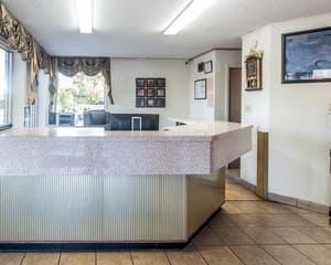 thumbnail: Reception