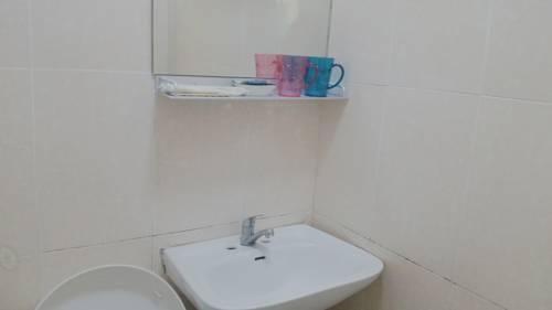 51107520.jpg