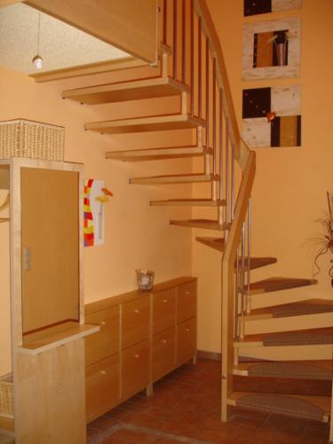 5301468.jpg