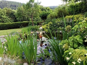 thumbnail: Garden