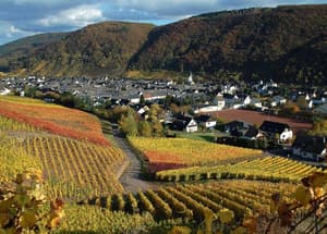 thumbnail: General view