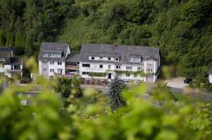 thumbnail: General view