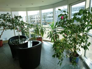 thumbnail: Property grounds