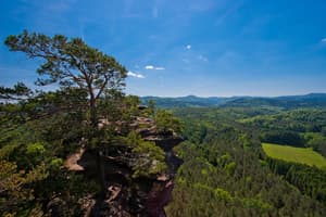 thumbnail: Hiking