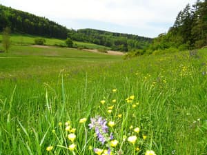 thumbnail: Land view from property