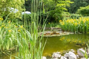 thumbnail: Garden