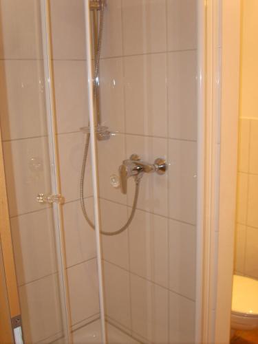 4783105.jpg